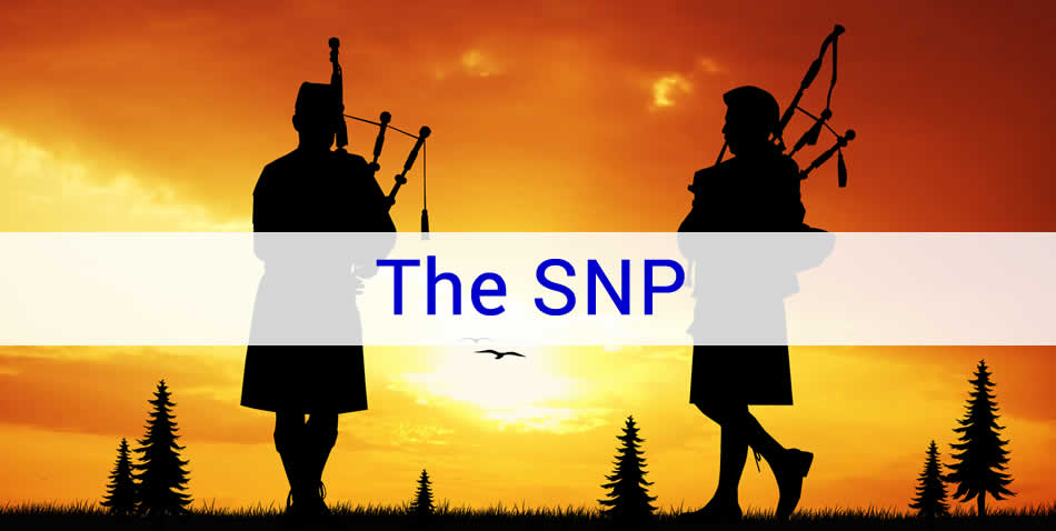 representation of Scottish Devolution
